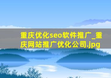 重庆优化seo软件推广_重庆网站推广优化公司