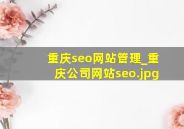 重庆seo网站管理_重庆公司网站seo