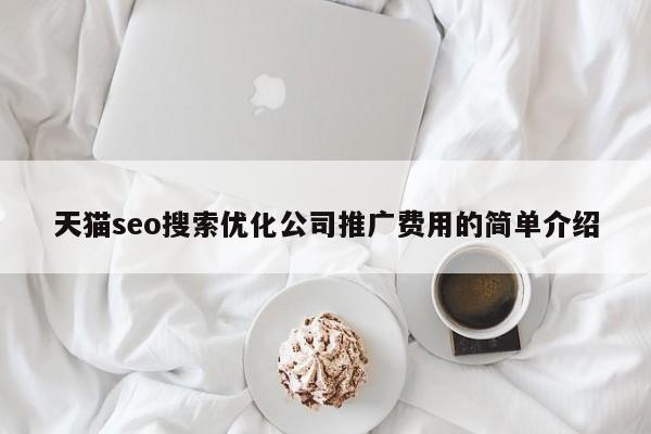天猫seo搜索优化公司推广费用的简单介绍