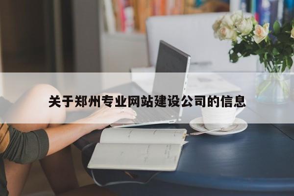 关于郑州专业网站建设公司的信息