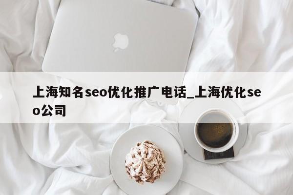 上海知名seo优化推广电话_上海优化seo公司