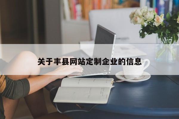 关于丰县网站定制企业的信息